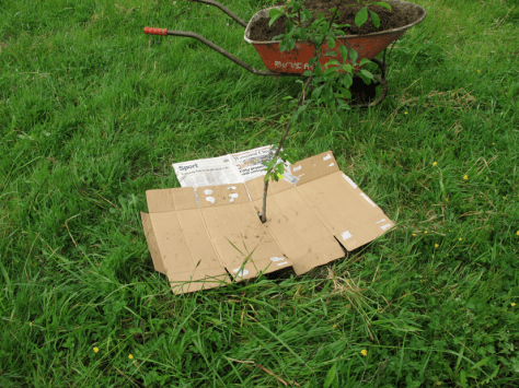 Screen shot 2014-10-21 at 8.33.02 AM