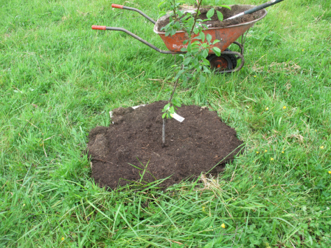 Screen shot 2014-10-21 at 8.34.08 AM