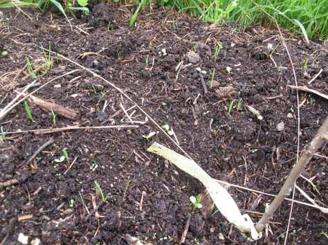 Screen shot 2014-10-21 at 8.34.27 AM