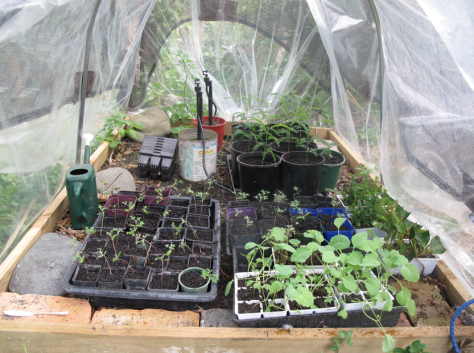 Screen shot 2014-10-27 at 11.39.34 AM