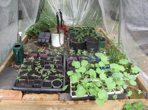 Screen shot 2014-10-27 at 11.40.26 AM