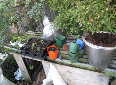 Screen shot 2014-10-27 at 11.41.25 AM