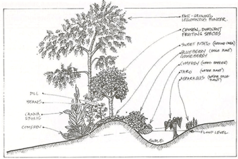 Screen shot 2014-11-07 at 7.15.56 AM