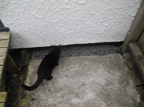 Screen shot 2014-11-21 at 6.52.48 PM