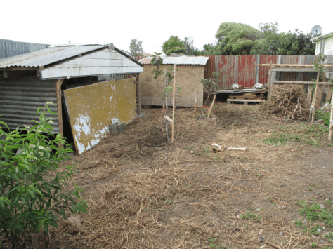 Screen shot 2014-11-28 at 10.30.51 AM