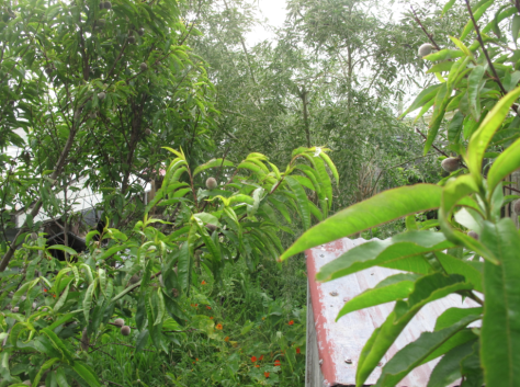 Screen shot 2014-11-28 at 10.31.02 AM