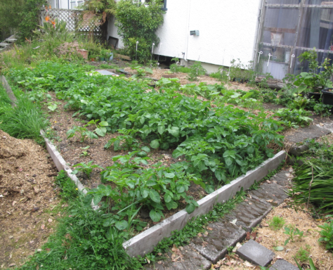 Screen shot 2014-12-06 at 6.51.43 AM