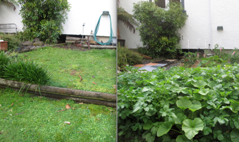 Screen shot 2014-12-06 at 7.03.37 AM