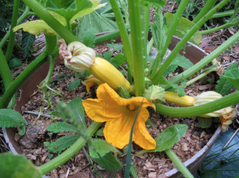 Screen shot 2014-12-17 at 7.35.15 AM