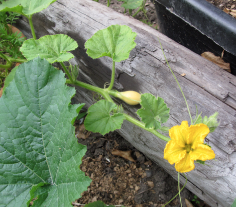 Screen shot 2014-12-17 at 7.35.34 AM