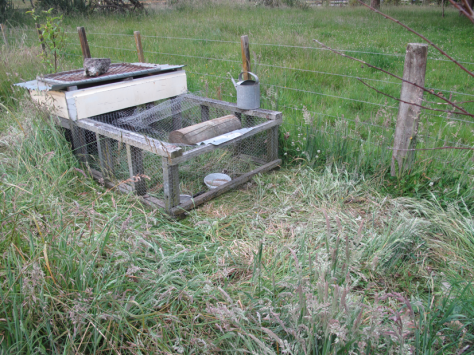 Screen shot 2014-12-17 at 7.36.52 AM