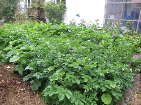 Screen shot 2014-12-17 at 7.37.07 AM