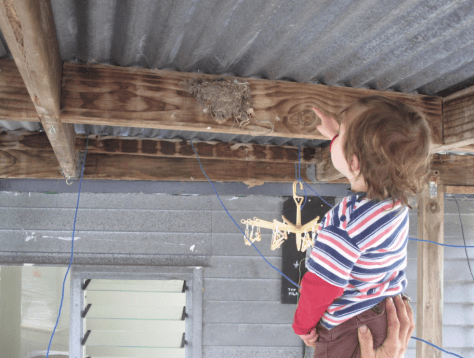 Screen shot 2014-12-19 at 12.08.33 PM