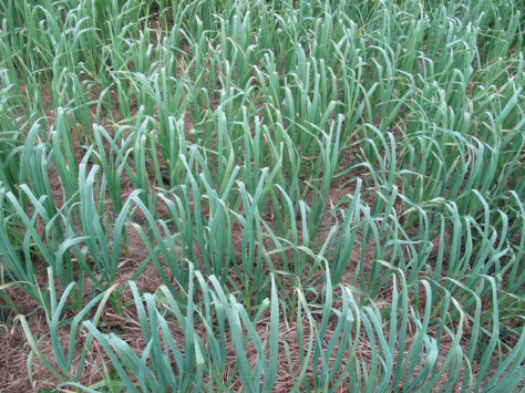 Screen shot 2014-12-30 at 7.37.57 AM