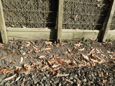 Screen shot 2015-01-01 at 9.28.05 AM