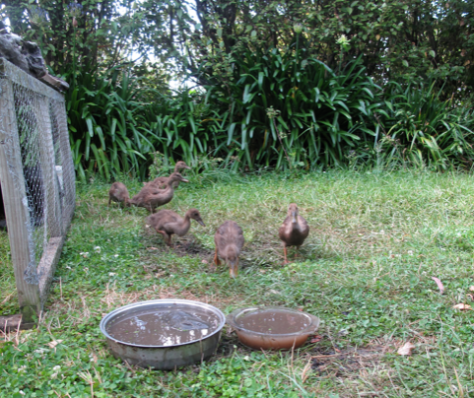 Screen shot 2015-01-01 at 9.29.38 AM