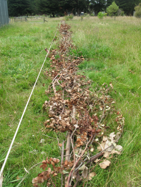 Screen shot 2015-01-14 at 7.19.14 AM