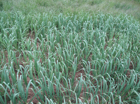 Screen shot 2015-01-14 at 7.20.44 AM