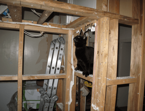 Screen shot 2015-01-14 at 7.22.10 AM