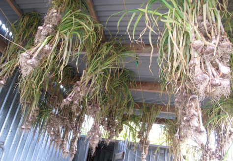 Screen shot 2015-01-14 at 7.22.27 AM