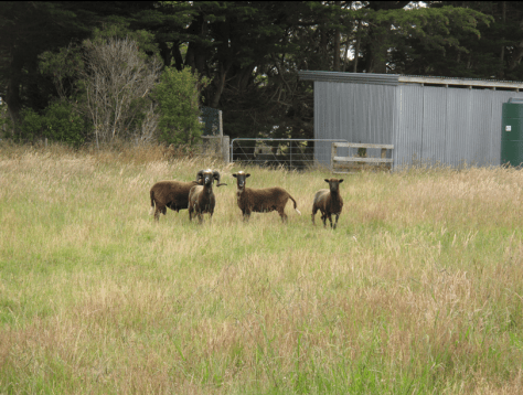 Screen shot 2015-01-14 at 7.23.07 AM