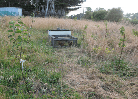 Screen shot 2015-01-14 at 7.23.39 AM