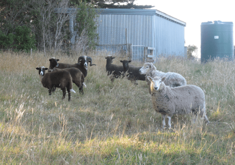 Screen shot 2015-01-14 at 7.24.17 AM