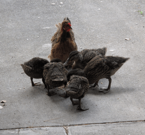 Screen shot 2015-01-14 at 7.24.29 AM