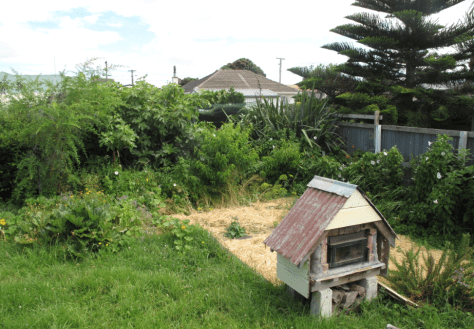 Screen shot 2015-01-31 at 6.43.41 AM