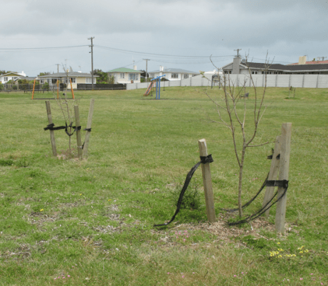 Screen shot 2015-02-06 at 11.19.05 AM