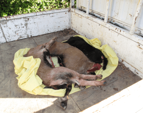 Screen shot 2015-02-15 at 12.50.34 PM