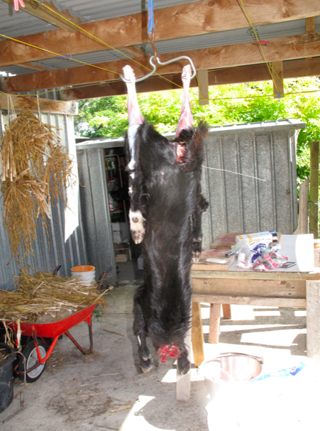 Screen shot 2015-02-15 at 12.51.15 PM