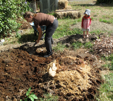 Screen shot 2015-02-15 at 12.53.11 PM