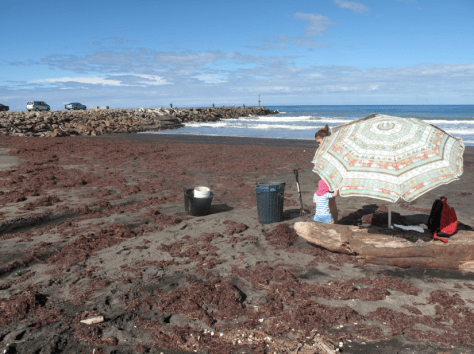 Screen shot 2015-02-23 at 7.05.48 AM