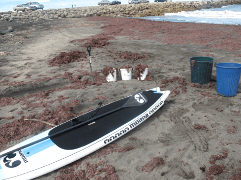 Screen shot 2015-02-23 at 7.06.36 AM