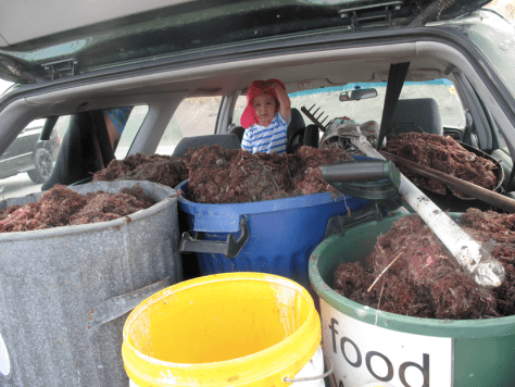 Screen shot 2015-02-23 at 7.06.44 AM