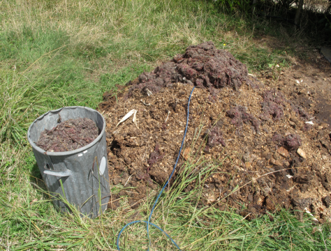 Screen shot 2015-02-23 at 7.07.27 AM