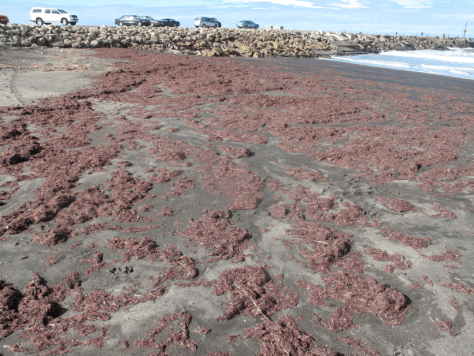 Screen shot 2015-02-23 at 7.07.57 AM