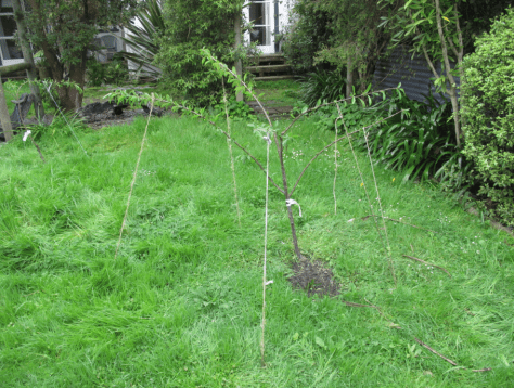 Screen shot 2015-02-28 at 8.02.30 AM