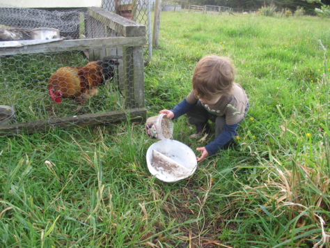 Screen shot 2015-02-28 at 8.02.41 AM