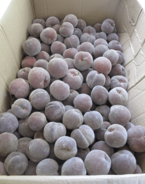 Screen shot 2015-03-01 at 6.10.34 PM