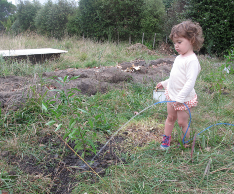 Screen shot 2015-03-01 at 6.12.32 PM