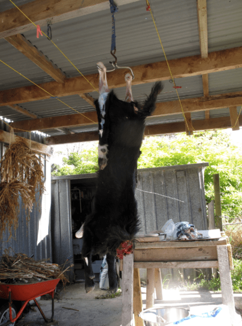 Screen shot 2015-03-06 at 7.01.07 AM