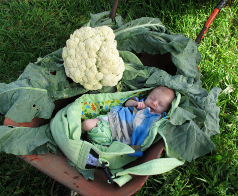 Screen shot 2015-03-31 at 10.30.14 AM