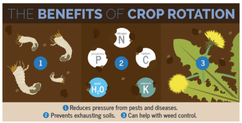 Screen shot 2015-03-31 at 9.30.20 AM