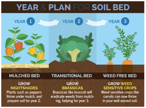 Screen shot 2015-03-31 at 9.32.02 AM