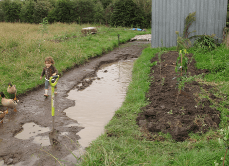 Screen shot 2015-04-12 at 10.47.16 AM