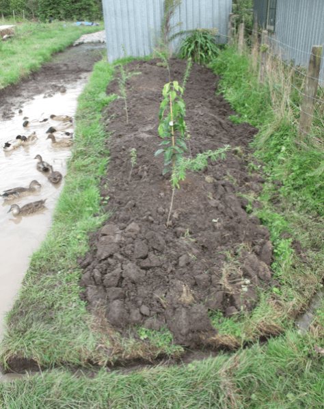 Screen shot 2015-04-12 at 10.47.51 AM