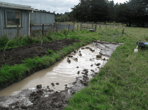 Screen shot 2015-04-12 at 10.48.29 AM