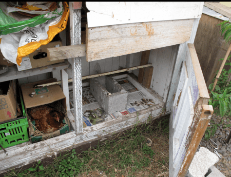 Screen shot 2015-04-18 at 10.12.04 AM